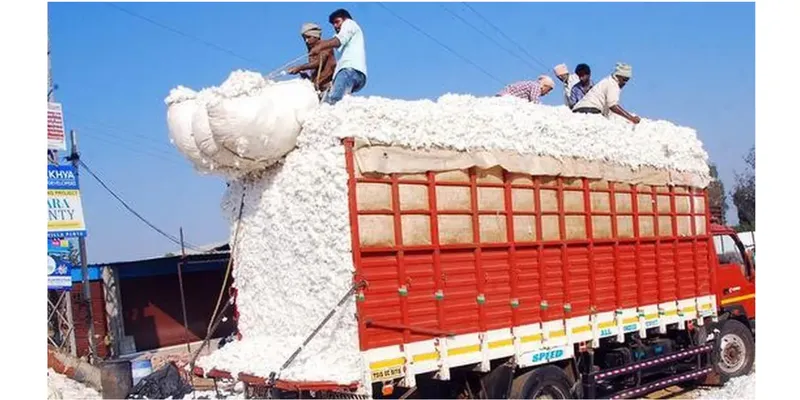 Global Price Decline, Rising Arrivals May Weigh on Indian Cotton Prices